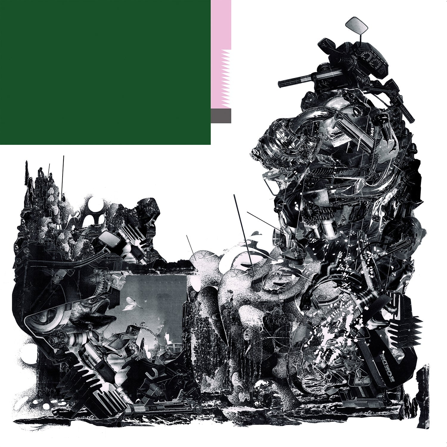 Black Midi - Schlagenheim Vinyl Record | Experimental Rock Album | Perfect for Music Collectors & Indie Fans