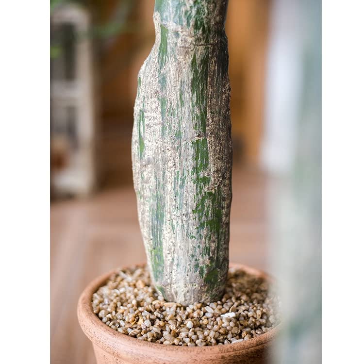 Artificial Morelos Cactus Plant - Lifelike Fake Cactus Decor for Home, Office & Indoor Spaces - Perfect for Boho, Modern & Desert Style Decorations