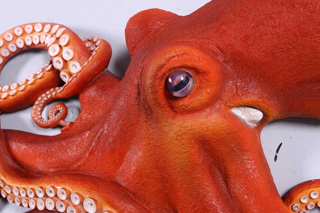 Realistic Octopus Wall Sculpture - Large Marine Beach Decor with Lifelike Eyes for Coastal, Nautical & Ocean-Themed Home Decor