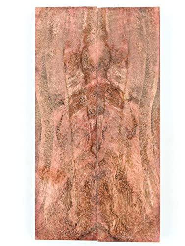 Masur Birch - AP6081