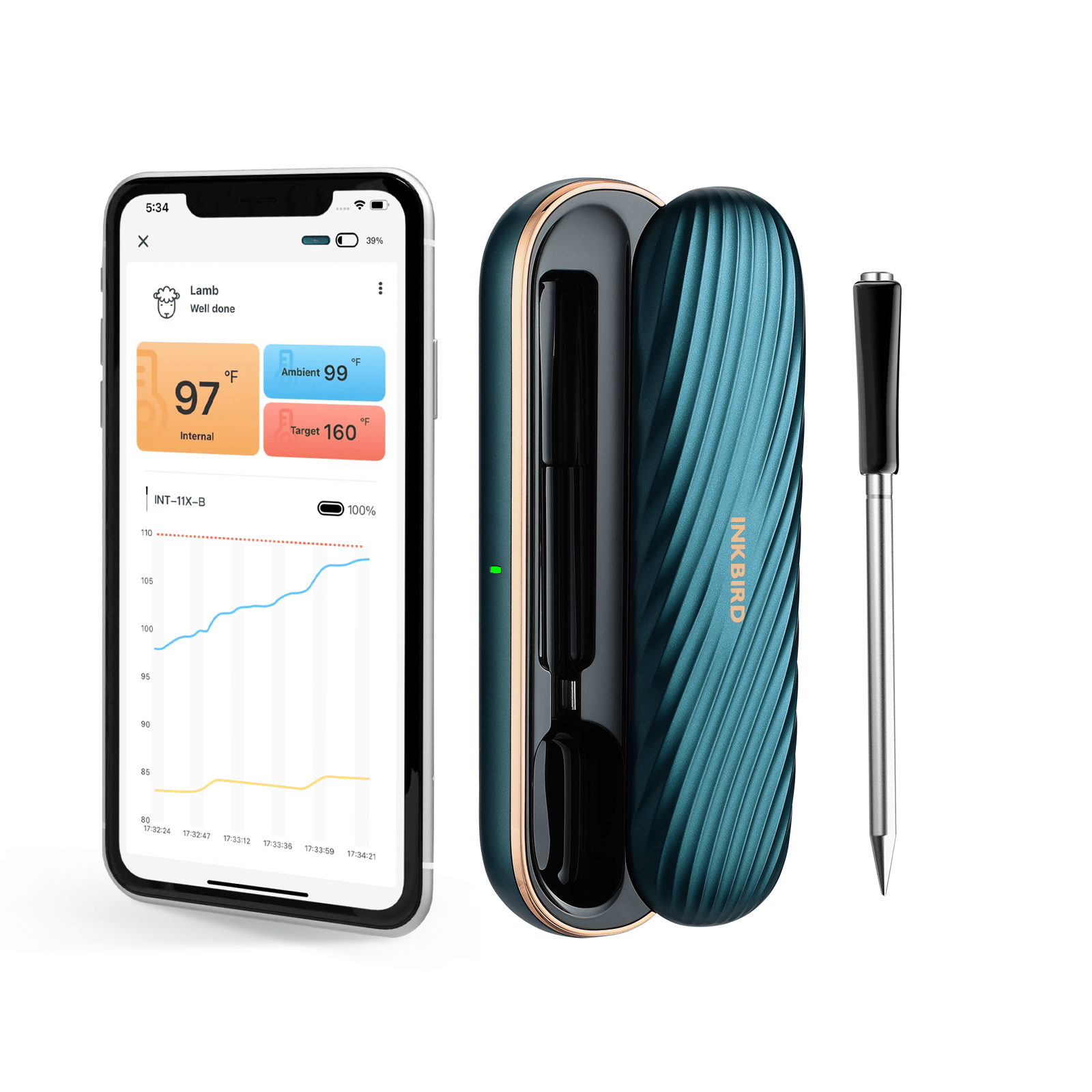 Wireless Bluetooth Meat Thermometer for Grilling, Smoking & BBQ - INT 11X B - Perfect for Steak, Chicken, Turkey & Outdoor Cooking