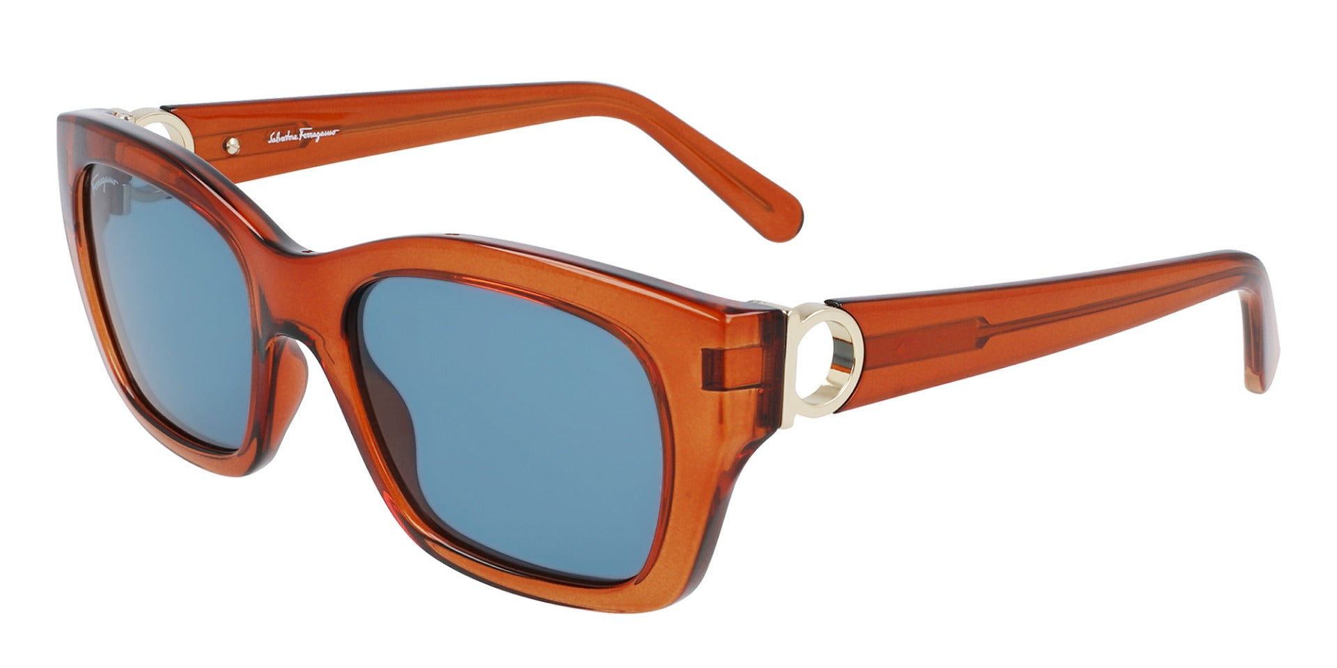 Ferragamo SF1012S Sunglasses for Women - Luxury Designer Shades with UV Protection - Perfect for Outdoor, Beach, and Travel Fashion Accessories