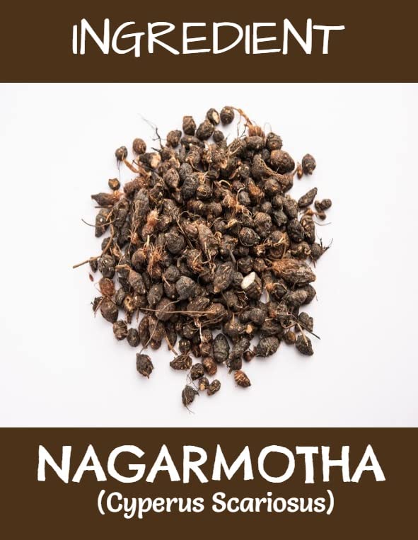Organic Nagarmotha Root Powder for Hair Growth & Skin Care - 100% Pure Ayurvedic Herb (Set of 3 x 100g) | Natural Remedy for Dandruff, Scalp Health & Glowing Skin | Perfect for DIY Hair Masks & Ayurvedic Treatments