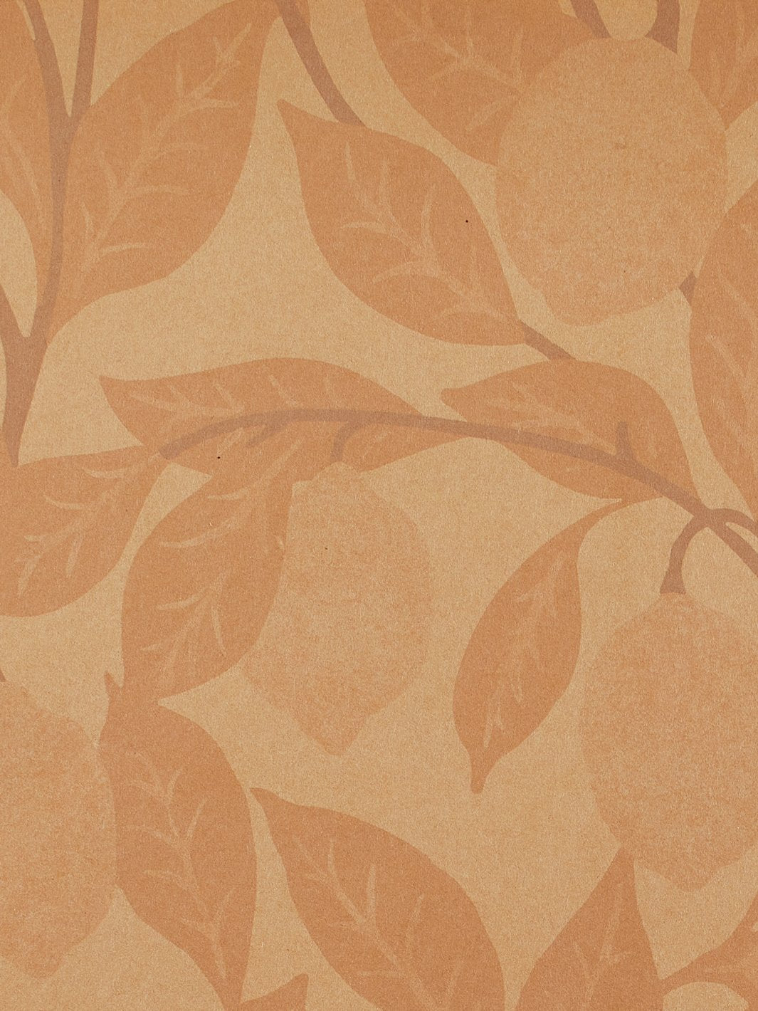 Nathan Turner Blush Lemons Kraft Wallpaper - Peel & Stick Removable Wallpaper for Kitchen, Bathroom, Nursery & Home Decor