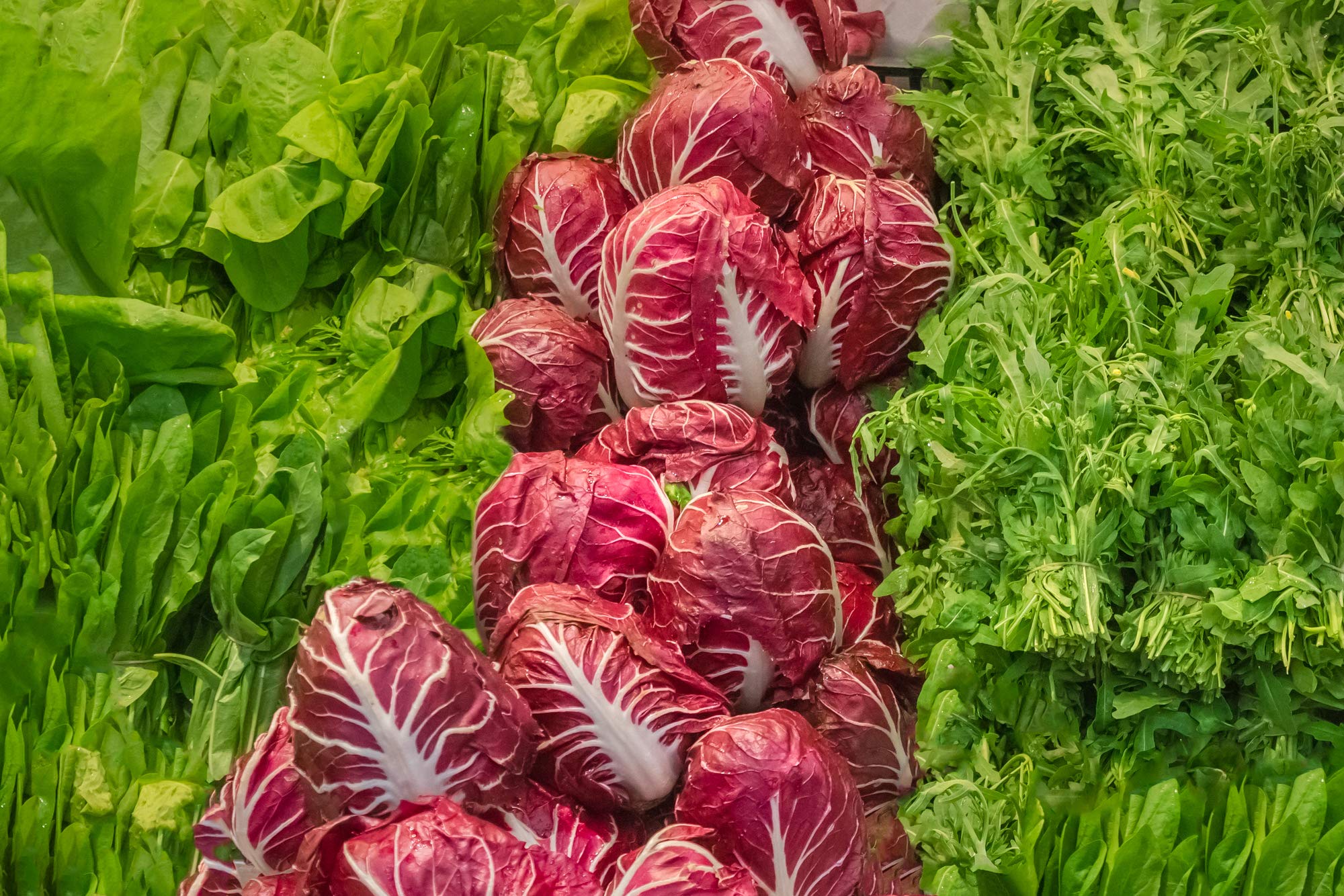 Radicchio Rosso di Verona 600 Seeds (Cichorium intybus) | Non-GMO Open Pollinated Heirloom Vegetable Seeds | Perfect for Home Gardens, Organic Farming & Italian Cuisine
