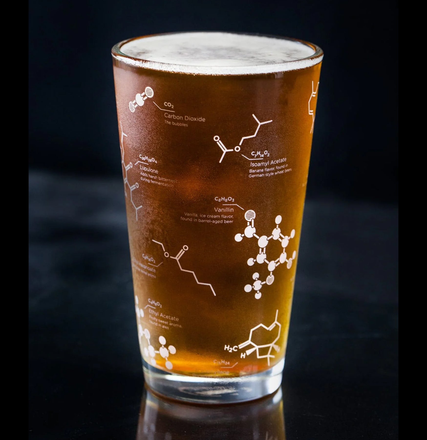 The Science of Beer Glass: How Glassware Enhances Flavor & Aroma | Perfect for Home Brewing, Beer Tasting & Bar Setups