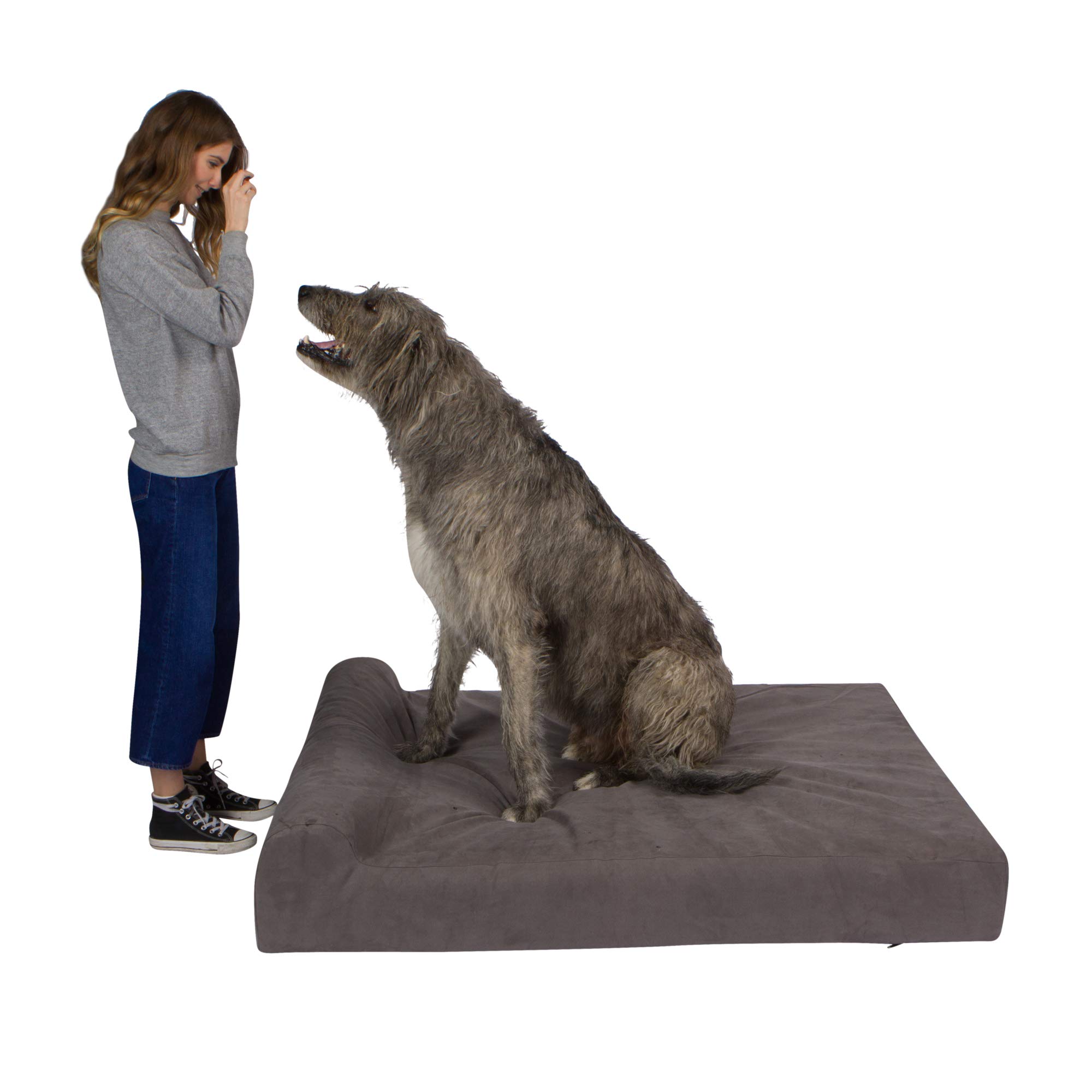 Lucky Dog Orthopedic 7