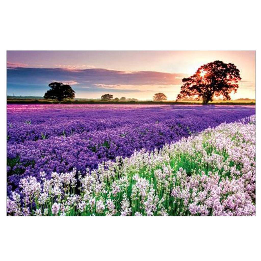 1000 Piece Jigsaw Puzzle for Adults & Kids - Li Ping Landscape, Hot Air Balloon & Blue Ocean Scenes - Colorful Educational Puzzle Toy for Family Game Night, Classroom Activities & Stress Relief