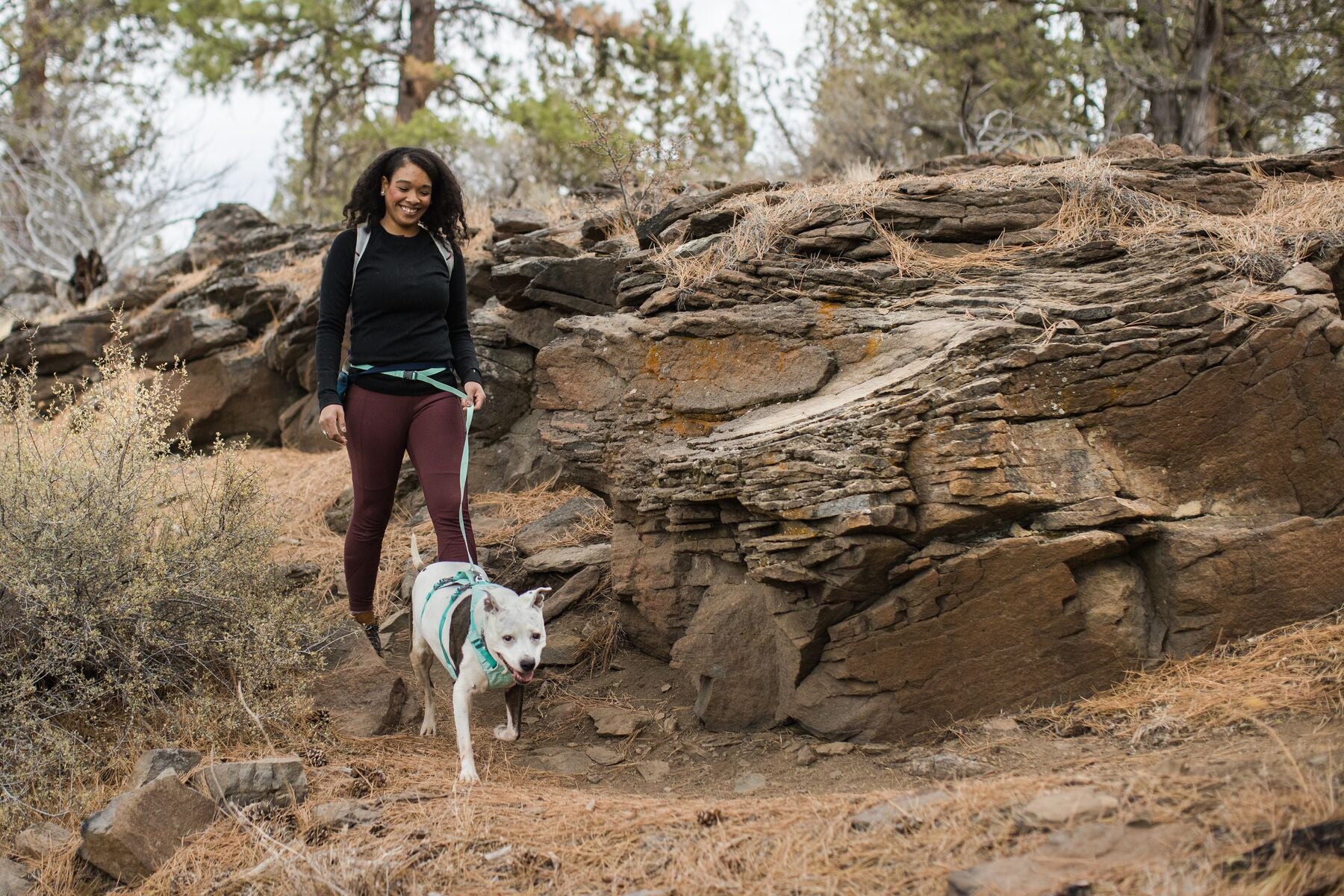 Ruffwear Flagline Harness® Multi-Use Dog Harness in Mint Green (Sage Green) - Adjustable Reflective Vest for Hiking, Running & Outdoor Adventures