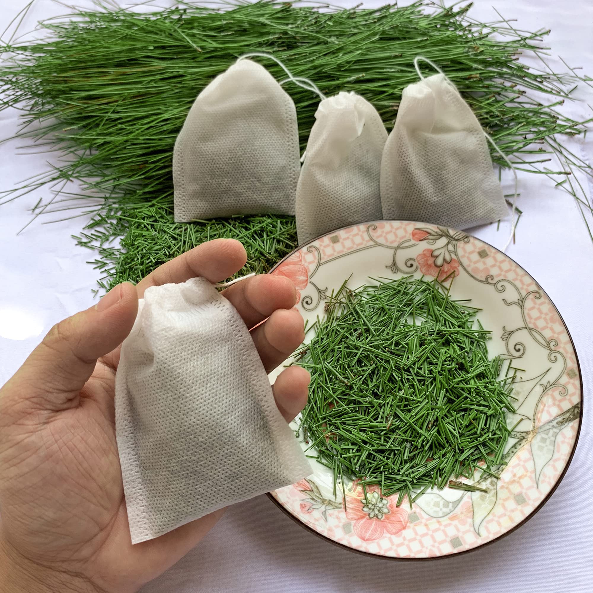Organic White Pine Needle Tea Bags - 100 Count | Fresh Cut, Same-Day Shipping | DIY Herbal Tea for Immune Support, Relaxation & Wellness | Perfect for Home Brewing, Gifts & Holistic Health