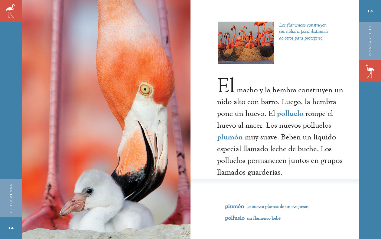 El Flamenco Book 9781640266711 - Spanish Dance Culture & History - Perfect for Dance Enthusiasts & Spanish Culture Lovers