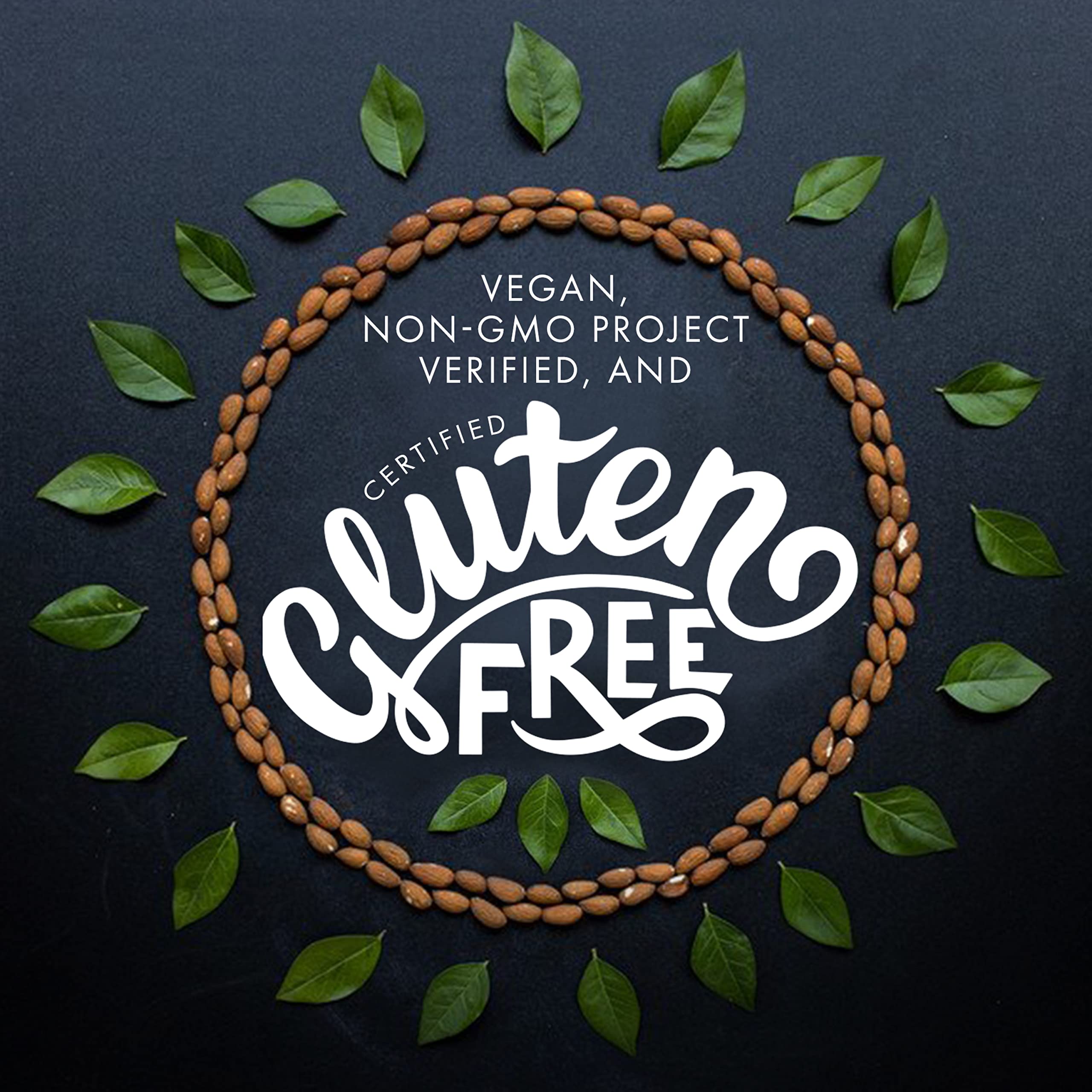 So Delicious Dairy Free Coconutmilk Frozen Dessert - Vegan Cookie Dough Flavor, Non-GMO Project Verified, 1 Pint - Perfect for Vegan Desserts, Lactose-Free Treats & Healthy Snacking