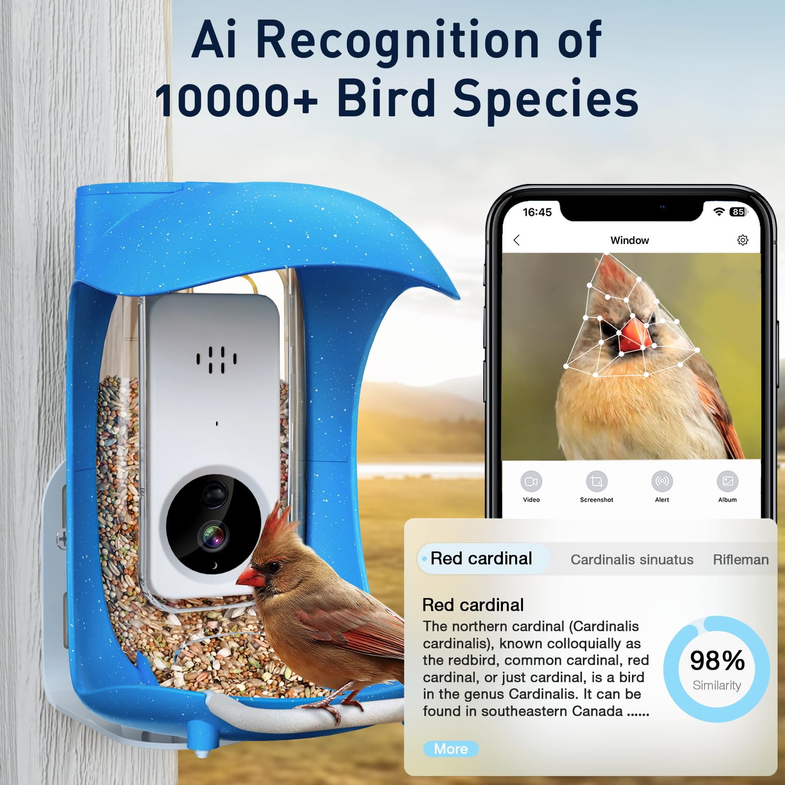 Smart Bird Feeder with HD Camera - Weatherproof Outdoor Bird Feeder with Night Vision, Motion Detection & Video Storage - Perfect for Backyard, Garden, Tree or Patio Bird Watching