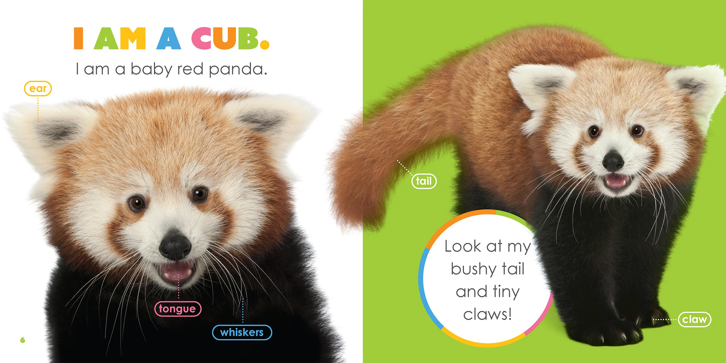 Baby Red Pandas Book - ISBN 978-1-64026-354-3 - Perfect Gift for Kids & Animal Lovers - Great for Bedtime Stories & Wildlife Education