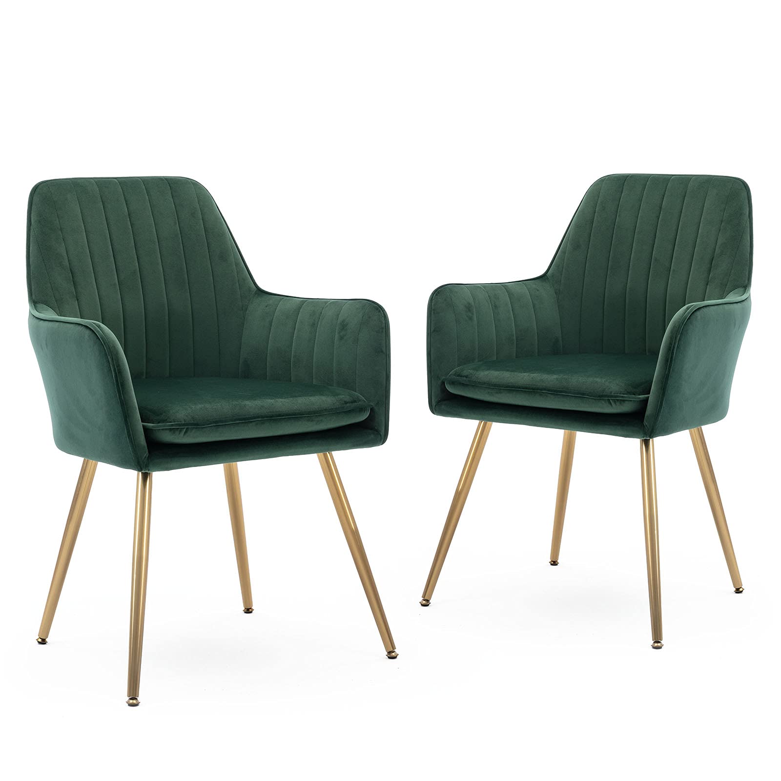 Five Stars Furniture Velvet Dining Chair - Modern Accent Armchair with Golden Metal Legs for Living Room, Home Office & Leisure (Green-02) | Stylish Seating for Dining, Working & Relaxing
