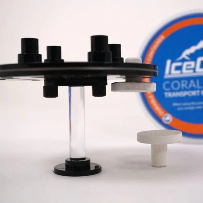 IceCap Coral Frag Transport Container with 8 Plugs - Secure Shipping for Live Coral Fragments - Perfect for Aquarium Enthusiasts & Reef Tank Hobbyists