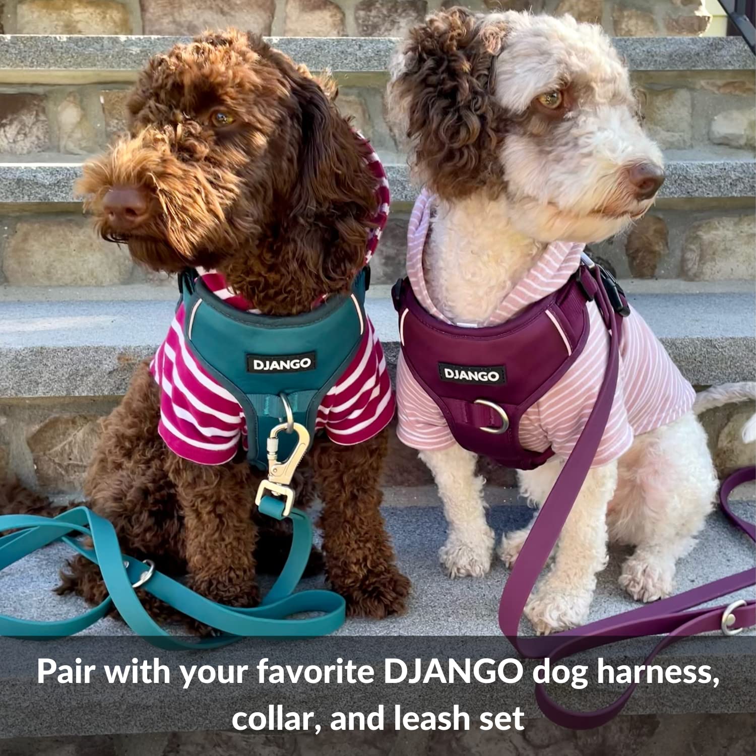 DJANGO Dog Hoodie - Soft & Stretchy Winter Sweater for Small Dogs & Dachshunds - Machine Washable Pet Hoodie with Elastic Waistband & Harness Hole - Cozy Blush Pink Dog Sweatshirt for Outdoor Walks & Indoor Lounging