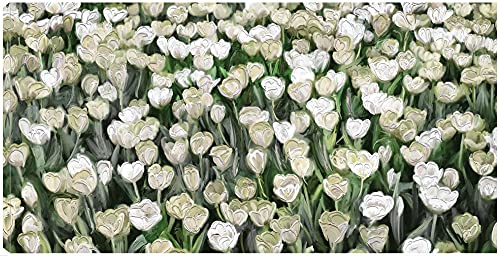 Champ de Tulipes
