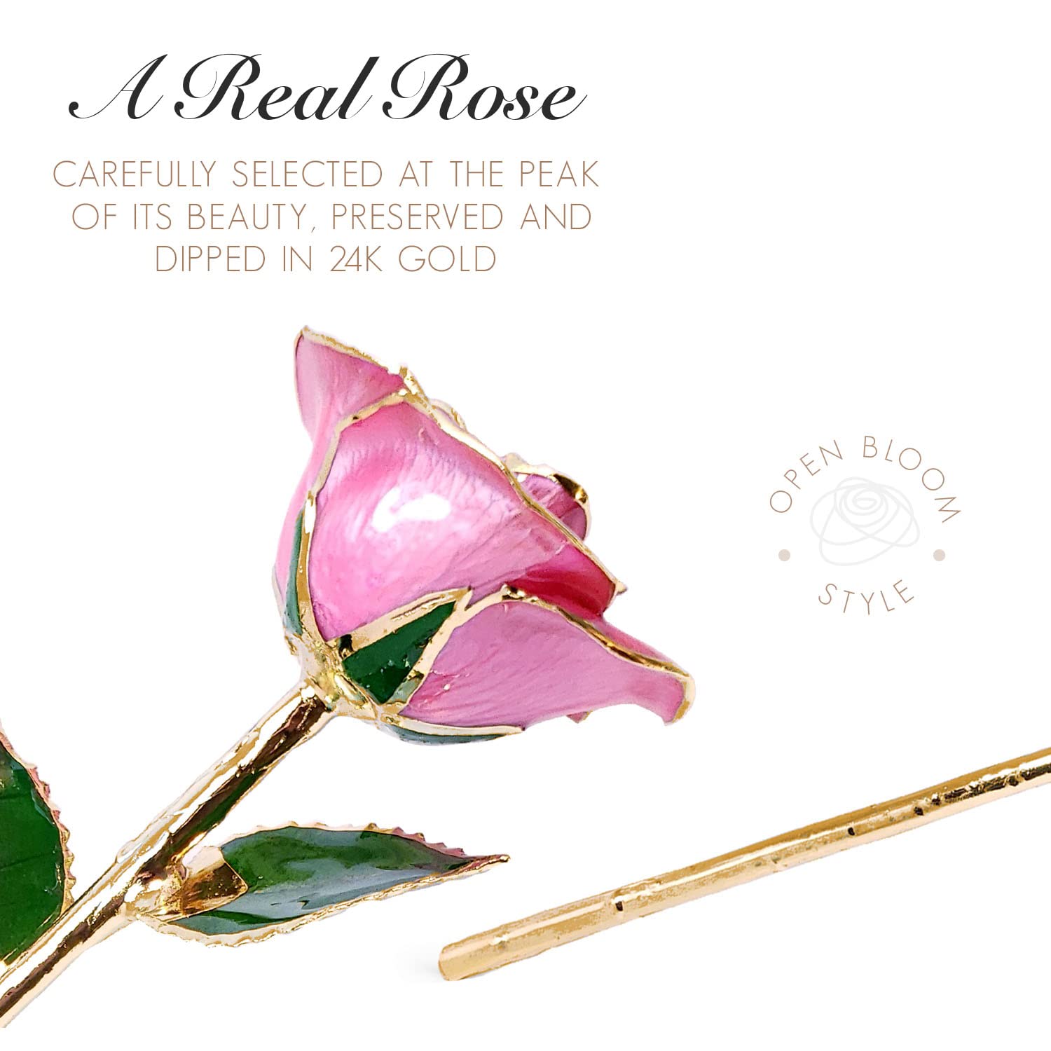 24K Gold Dipped Pink Rose - Forever Bloomed Preserved Flower with Certificate of Authenticity | Romantic Gift for Women, Anniversary, Valentine's Day & Home Decor