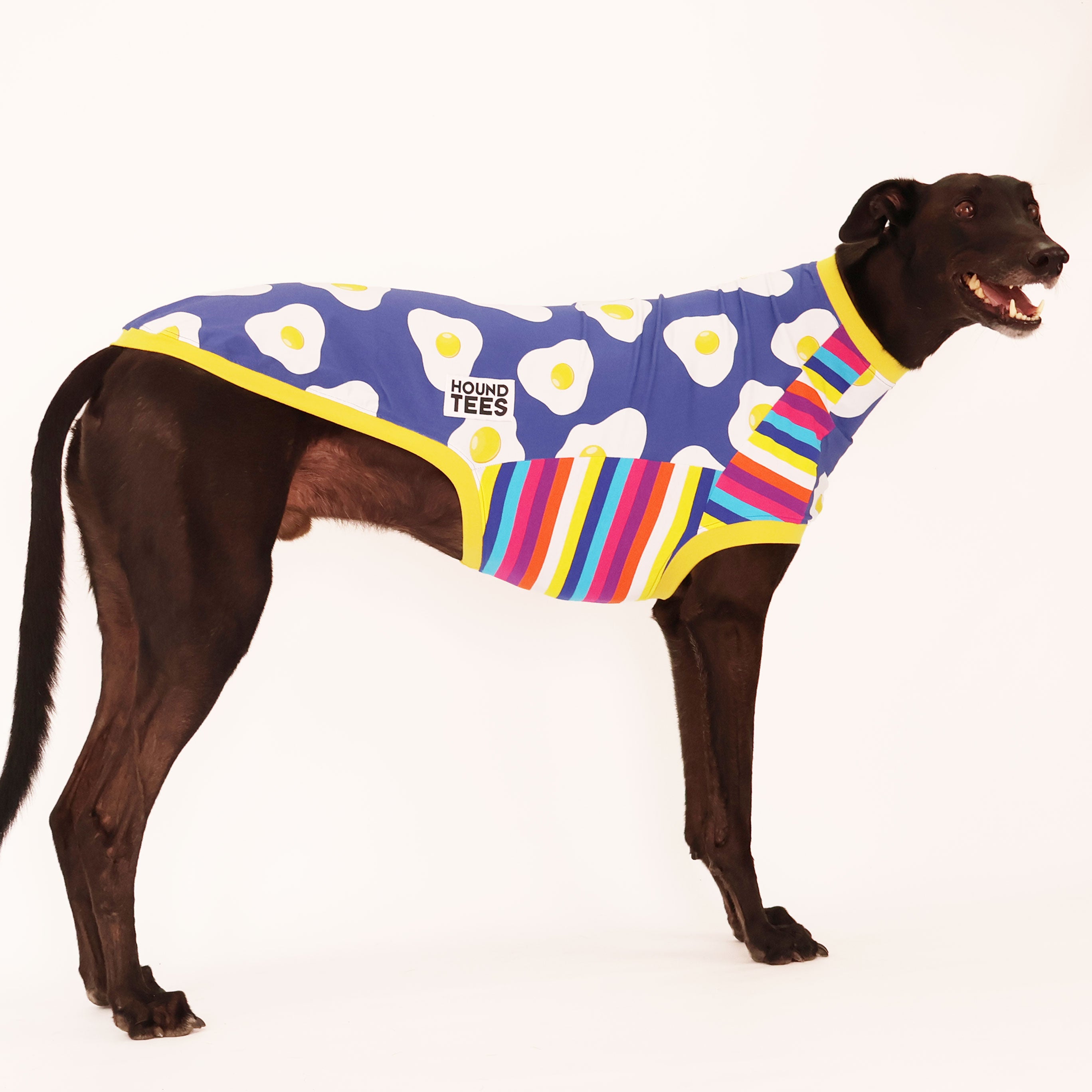 Eggy Greyhound Sleeveless Hound Tee - Trendy Dog Lover T-Shirt for Summer Outings & Casual Wear