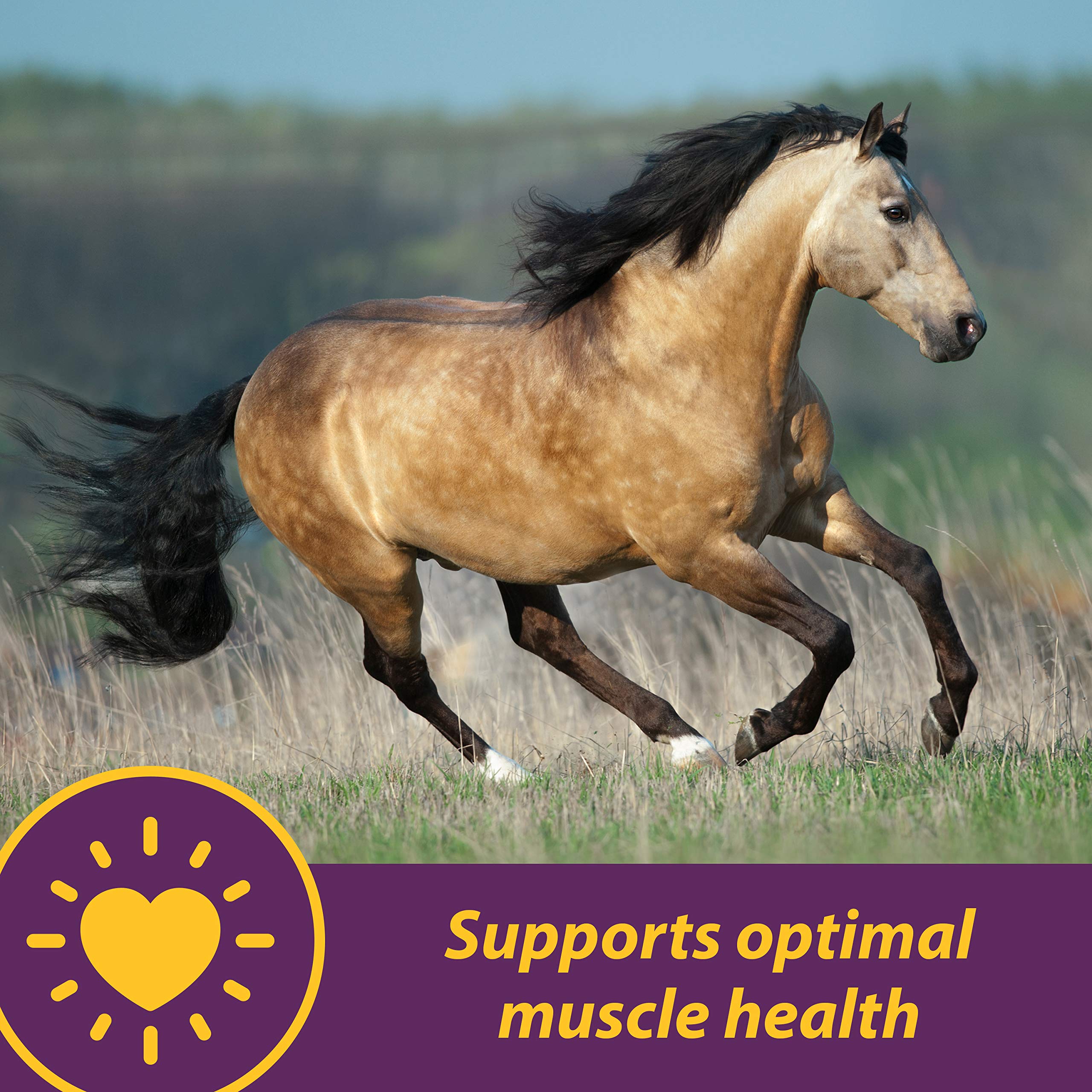 Farnam Horse Health Vita E & Selenium Crumbles - Vitamin Supplement for Horses, 20 lbs (640 Day Supply) - Supports Muscle Health & Antioxidant Protection - Ideal for Performance Horses, Breeding Mares & Senior Equine Care