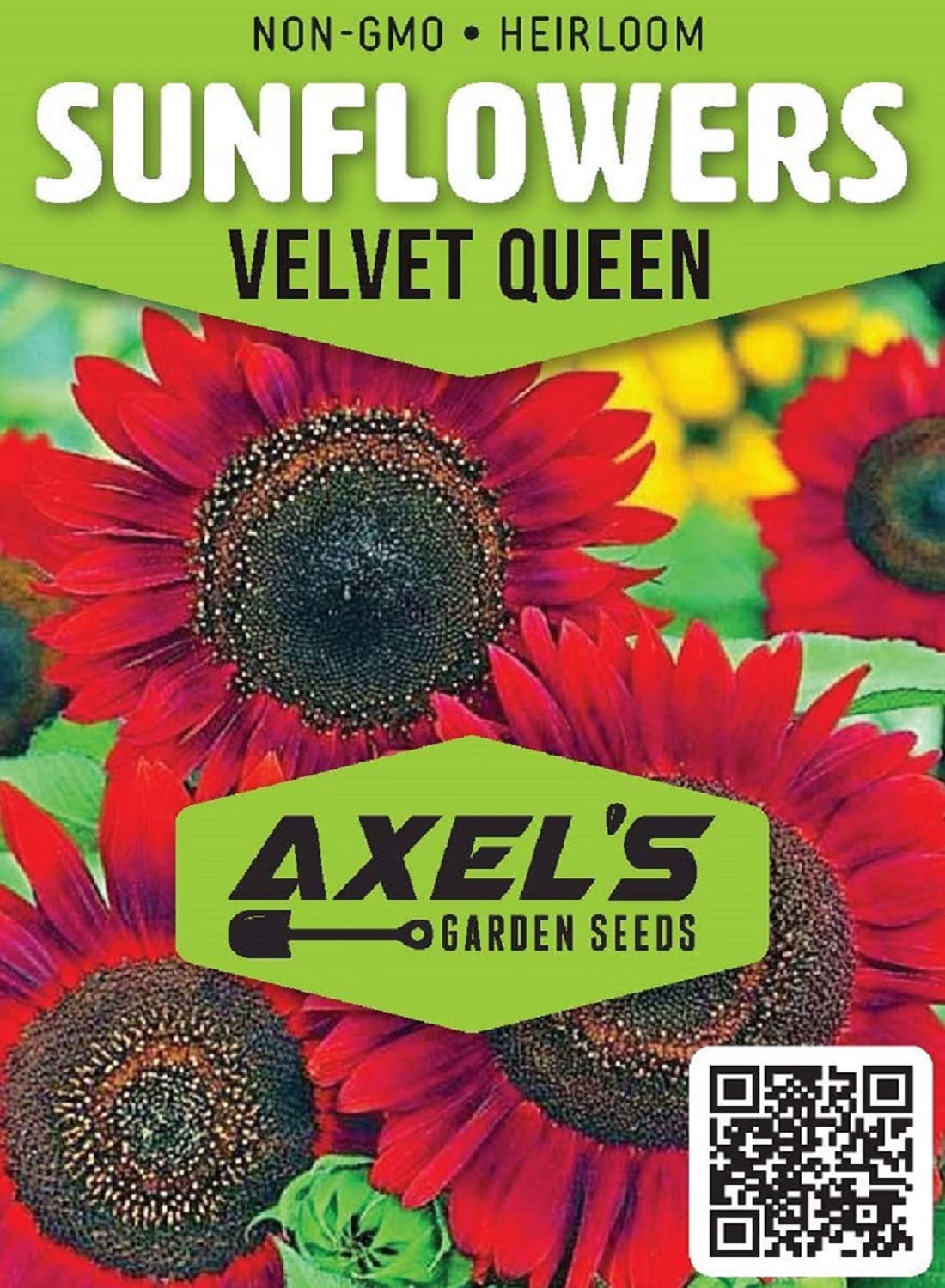 Velvet Queen Sunflower Seeds for Planting - Heirloom Non-GMO Sunflower Seeds (50 Count) | Fresh Garden Flower Seeds for Home Gardening, Landscaping & Pollinator Gardens