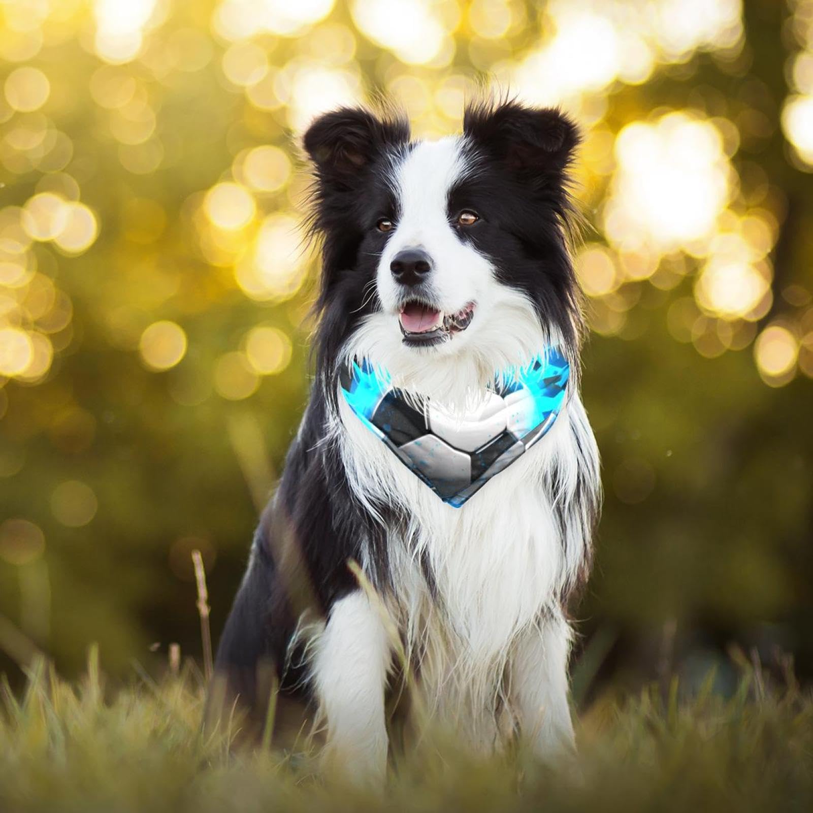 3D Light Wall Football Dog Bandanas - 2-Piece Set for Small, Medium & Large Pets - Adjustable Dog Scarf for Dogs & Cats - Perfect for Pet Parties, Photo Shoots & Outdoor Adventures