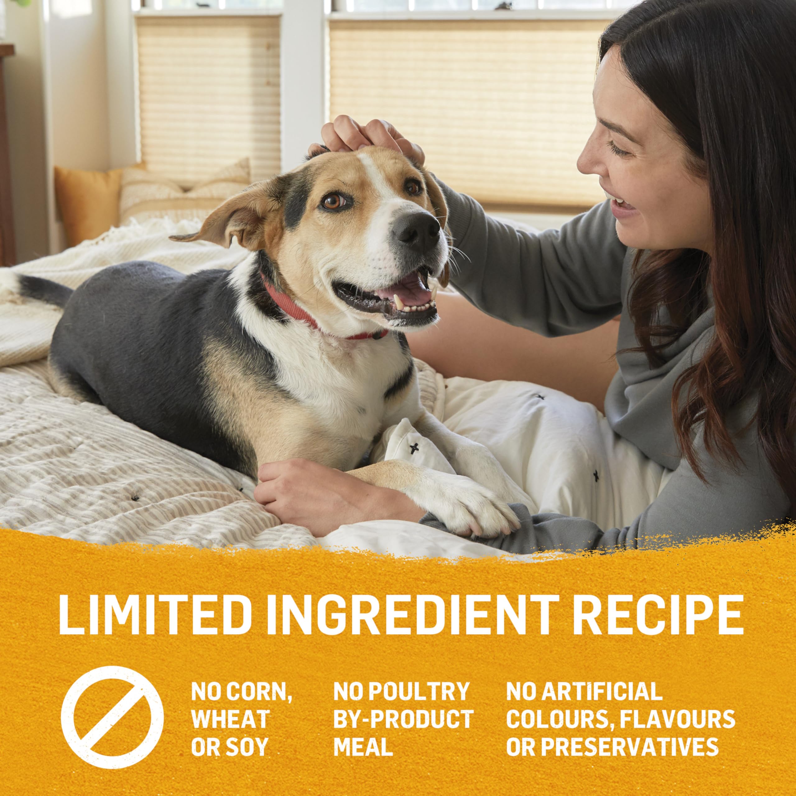 Premium Wet Dog Food - Chicken, Carrot & Pea Recipe - Grain-Free, High Protein Canned Dog Food - 12 Pack (368g Each) - Perfect for Puppies & Adult Dogs - Mealtime, Training Treats & Weight Management