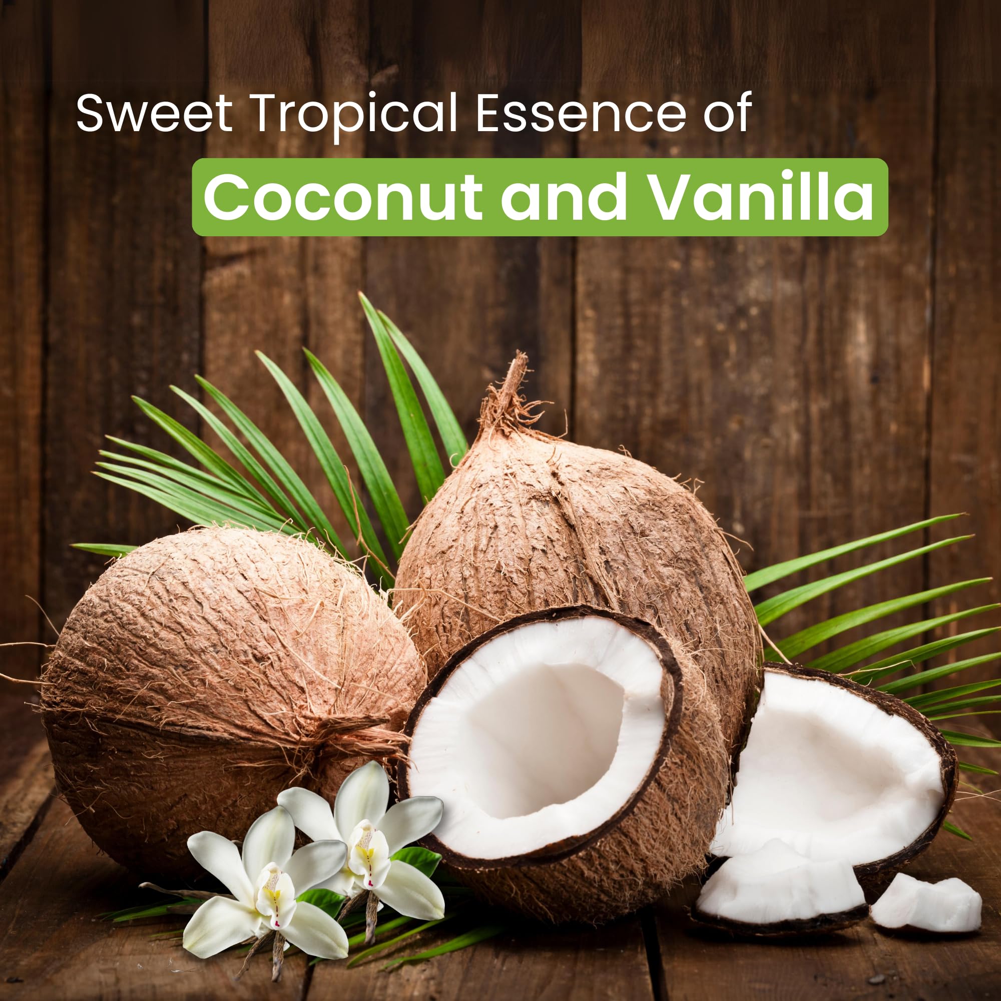 POSSUM Coconut Vanilla Body Lotion with Shea Butter & Vitamin E - Deep Moisturizing Cream for Dry Skin, Anti-Wrinkle Treatment, Paraben-Free, 200ml - Perfect for Daily Hydration & Nighttime Skin Repair