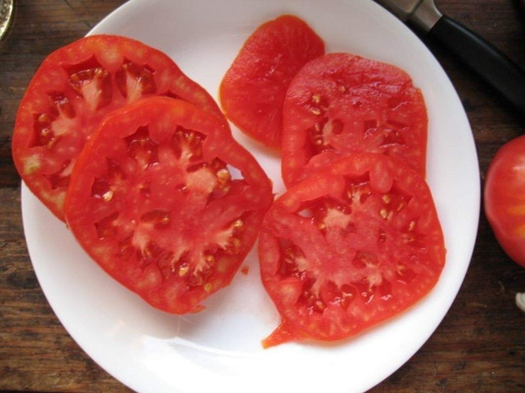 Heirloom Box Car Willie Tomato Seeds - Non-GMO, Old Fashioned Tomato Flavor for Home Gardening (100 Seeds) - Perfect for Fresh Salads, Canning, and Homemade Sauces