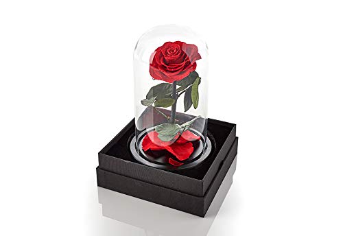 Sharper Image Timeless Rose - Eternal Preserved Real Rose Gift for Anniversary, Valentine's Day & Romantic Occasions - Perfect Home Decor & Luxury Present