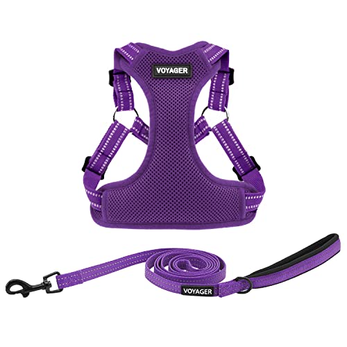 Harness Leash Set (Purple)