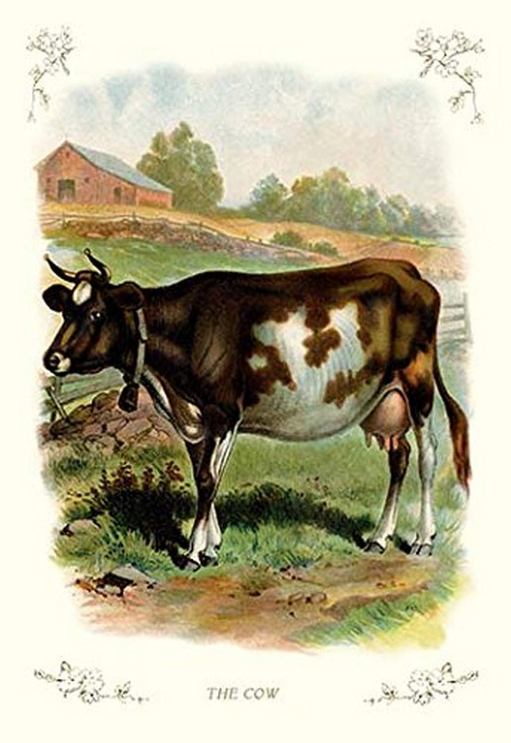 Buyenlarge 'The Cow' Vintage Art Paper Poster - 20x30 Inches - Perfect for Farmhouse Decor, Living Room Wall Art & Country Style Home Office