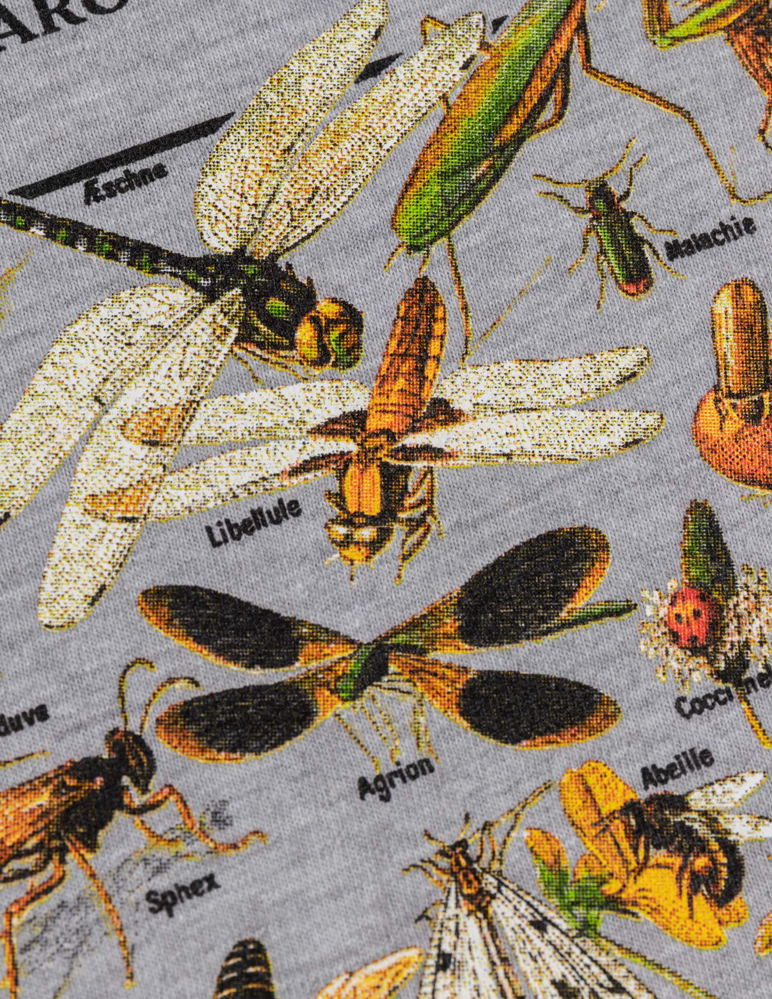 Vintage Insect Art T-Shirt - Cool Bug Beetle Flies Bees Design for Science Teachers & Biology Lovers (Adult XL) - Perfect for Classrooms, Nature Enthusiasts & Entomology Gifts