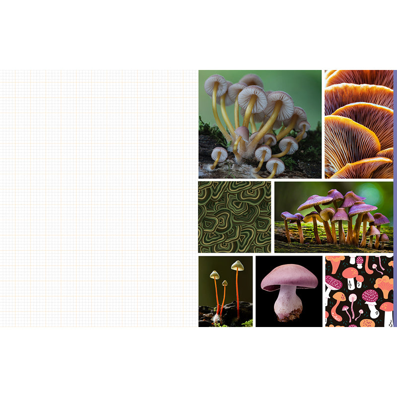 Premium Mushroom & Fungi Cutting and Collage Kit - DIY Craft Supplies for Scrapbooking, Journaling, and Nature-Themed Home Decor