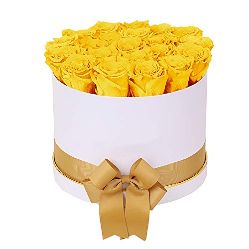 Luxury Long Lasting Preserved Roses in White Gift Box - Fresh-Look Eternal Yellow Roses for Anniversary, Wedding, Valentine's Day & Home Decor