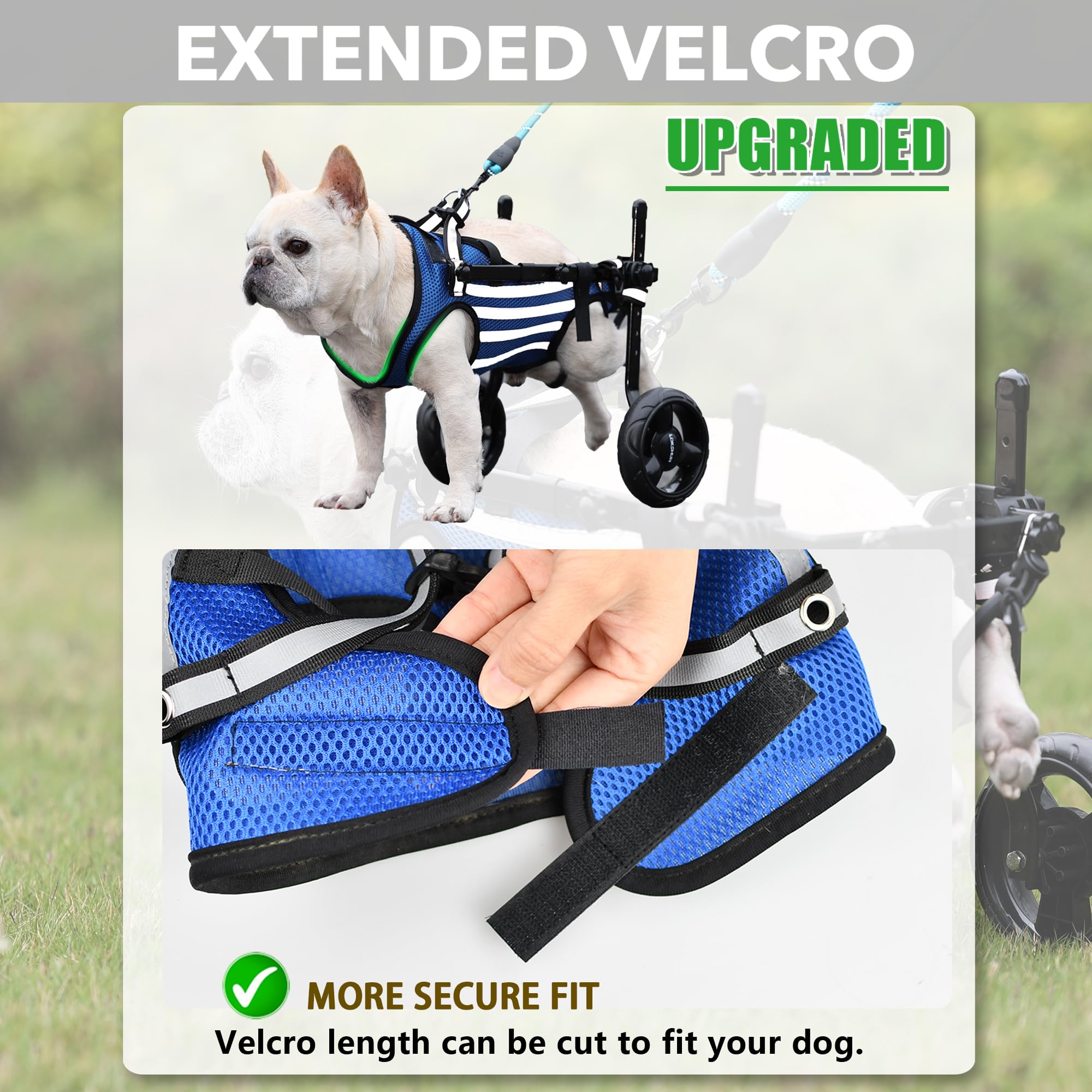 2024 Upgraded Adjustable Dog Wheelchair for Small Dogs with Disabled Hind Legs - Heavy Duty Wheels & Patented Design (Medium) - Perfect for Mobility Assistance, Rehabilitation & Outdoor Walks