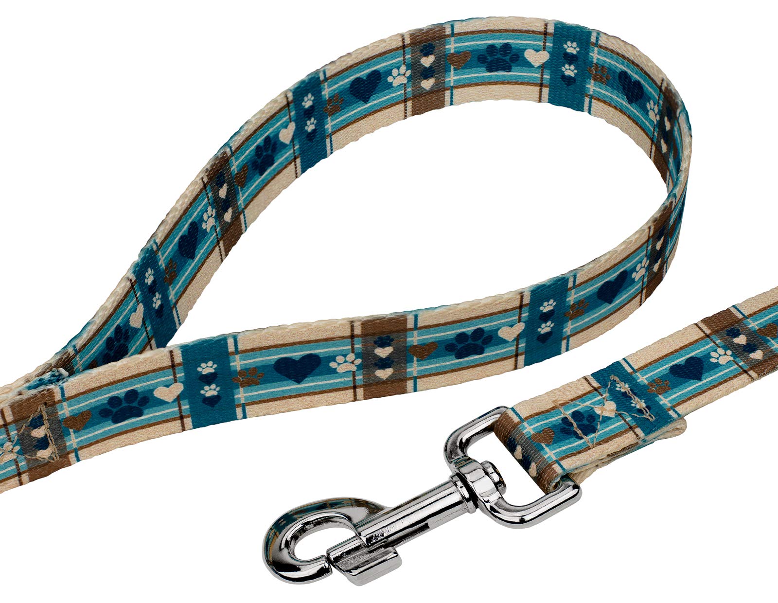 Country Brook Petz - 1 Inch Wide 4 Foot Puppy Picnic Dog Leash for Small Dogs - Perfect for Outdoor Walks, Park Visits, and Picnic Adventures