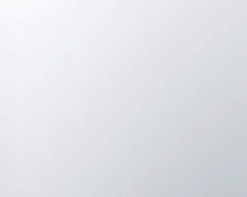 1. Silver Color Buckle Adapters