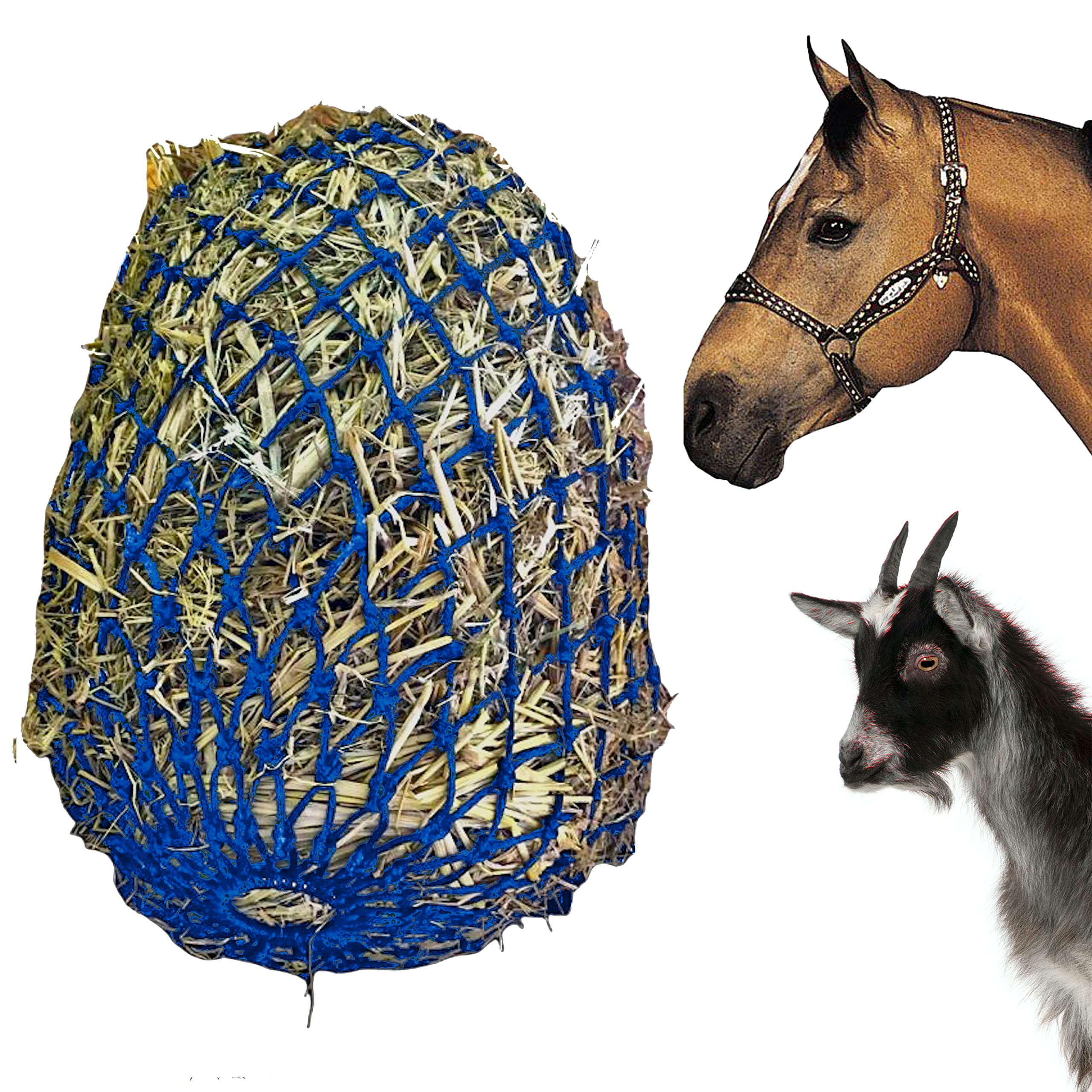 Majestic Ally 2x2 Inch Slow Feed Hay Net - 40 Inch Heavy Duty Nylon Monofilament Rope with Bottom Ring - Adjustable Horse Feeder for Stall, Trailer & Travel - Royal Blue - Perfect for Picky Eaters & Portability