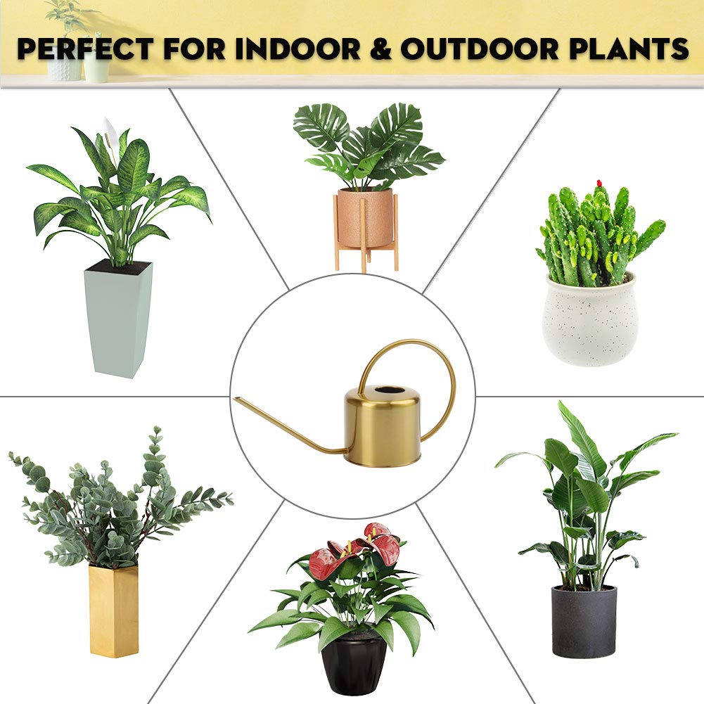 Premium Stainless Steel Watering Can 40oz (1300ml) - Long Spout Indoor Outdoor Plant Watering Can for House Plants, Succulents, Bonsai, Garden Flowers - Perfect for Home Gardening, Balcony & Patio Use
