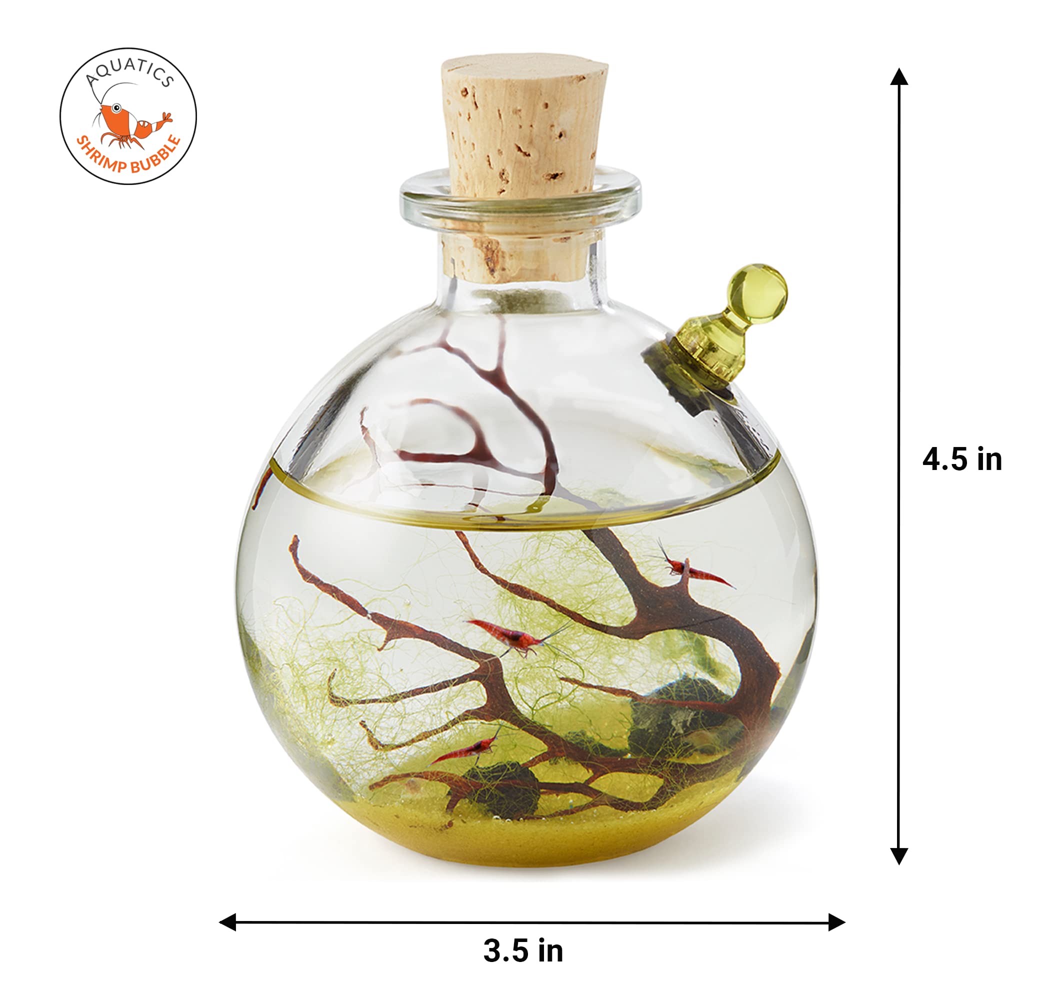 Self-Sustaining Glass Ecosystem Terrarium Kit - Indoor Plant Decor for Home, Office, or Gift - Perfect for Relaxation, Meditation & Nature Lovers