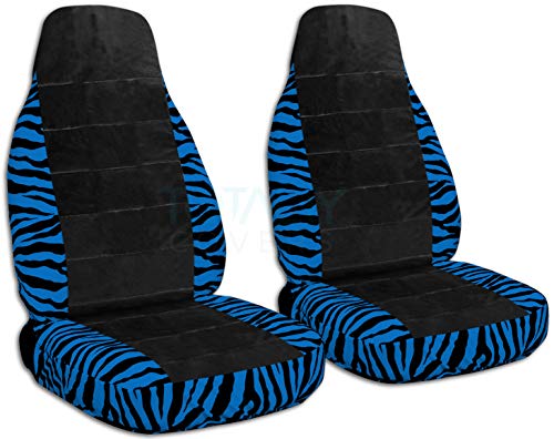 Blue Zebra & Black