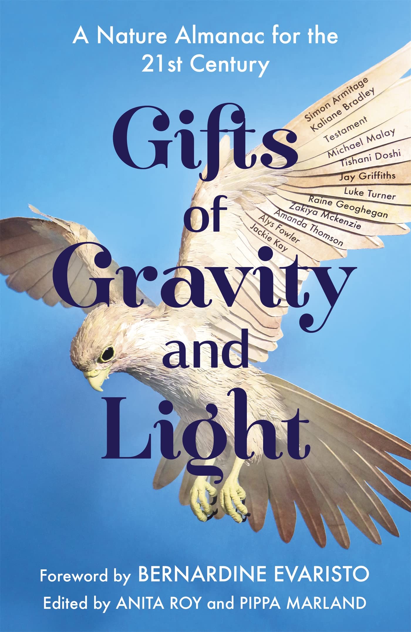 Gifts of Gravity and Light - Thoughtful Science-Themed Presents for Space Enthusiasts | Perfect for Astronomy Lovers, Physics Teachers & STEM Gift Ideas