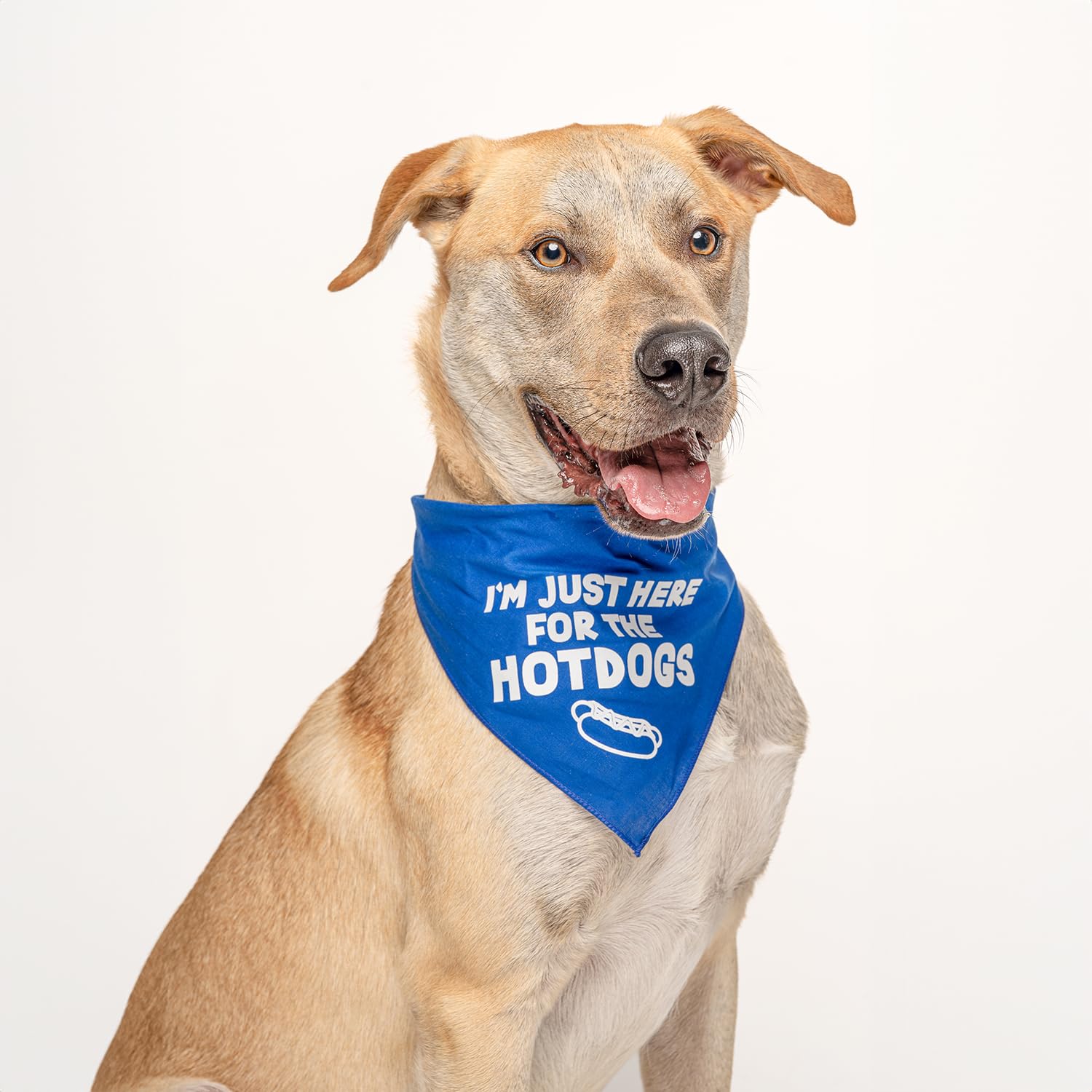 I'm Just Here for The Hot Dogs Dog Bandana - Red, One Size Fits Most (750) - Perfect for BBQ Parties, Pet Events & Summer Outings