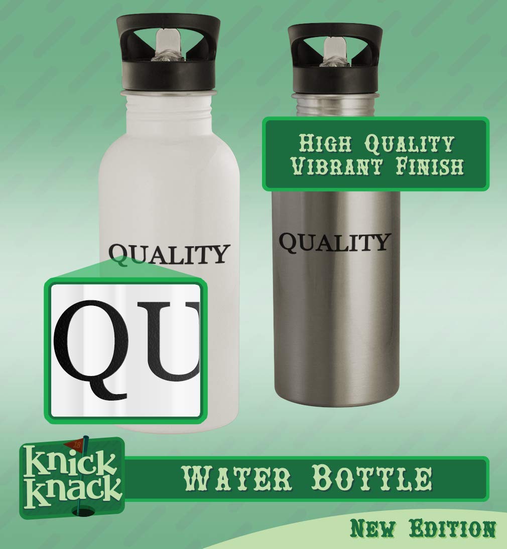Big Ray Of Sunshine - 20oz Stainless Steel Outdoor Water Bottle, Silver - Perfect for Hiking, Camping, Gym & Everyday Hydration