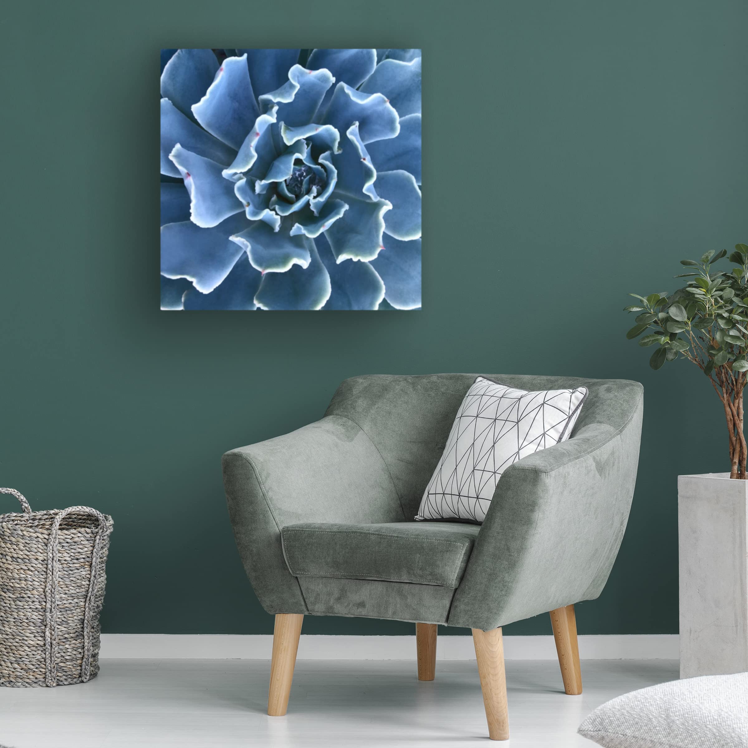 Trademark Fine Art 'Ruffled Edges' Canvas Wall Art by Jan Bell - Modern Home Decor for Living Room, Bedroom & Office