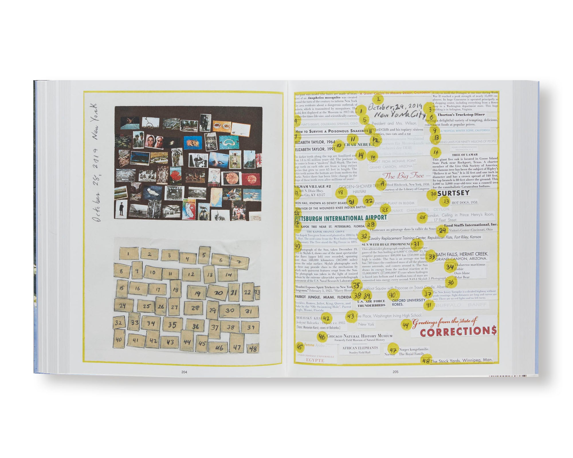 LOG by Roni Horn - Premium Art Book & Photography Collection | Contemporary Art Gift for Collectors, Perfect for Home Decor, Office Display & Art Enthusiasts