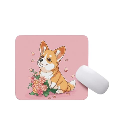 Welsh Corgi