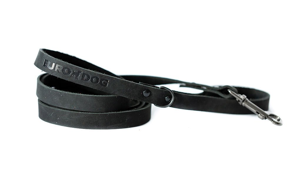Premium Black Leather Quick Release Dog Collar for Small & Medium Breeds - Comfortable & Durable for Training, Walking & Outdoor Adventures